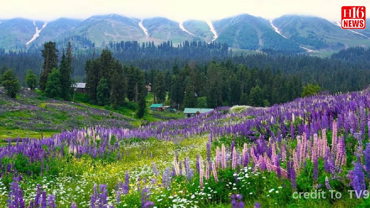 ಹೊಸ ವರ್ಷದಲ್ಲಿ ಜಮ್ಮು-ಕಾಶ್ಮೀರದಲ್ಲಿ ಉಗ್ರರ ಚಟುವಟಿಕೆ: ಪೊಲೀಸರು ಸಜ್ಜು