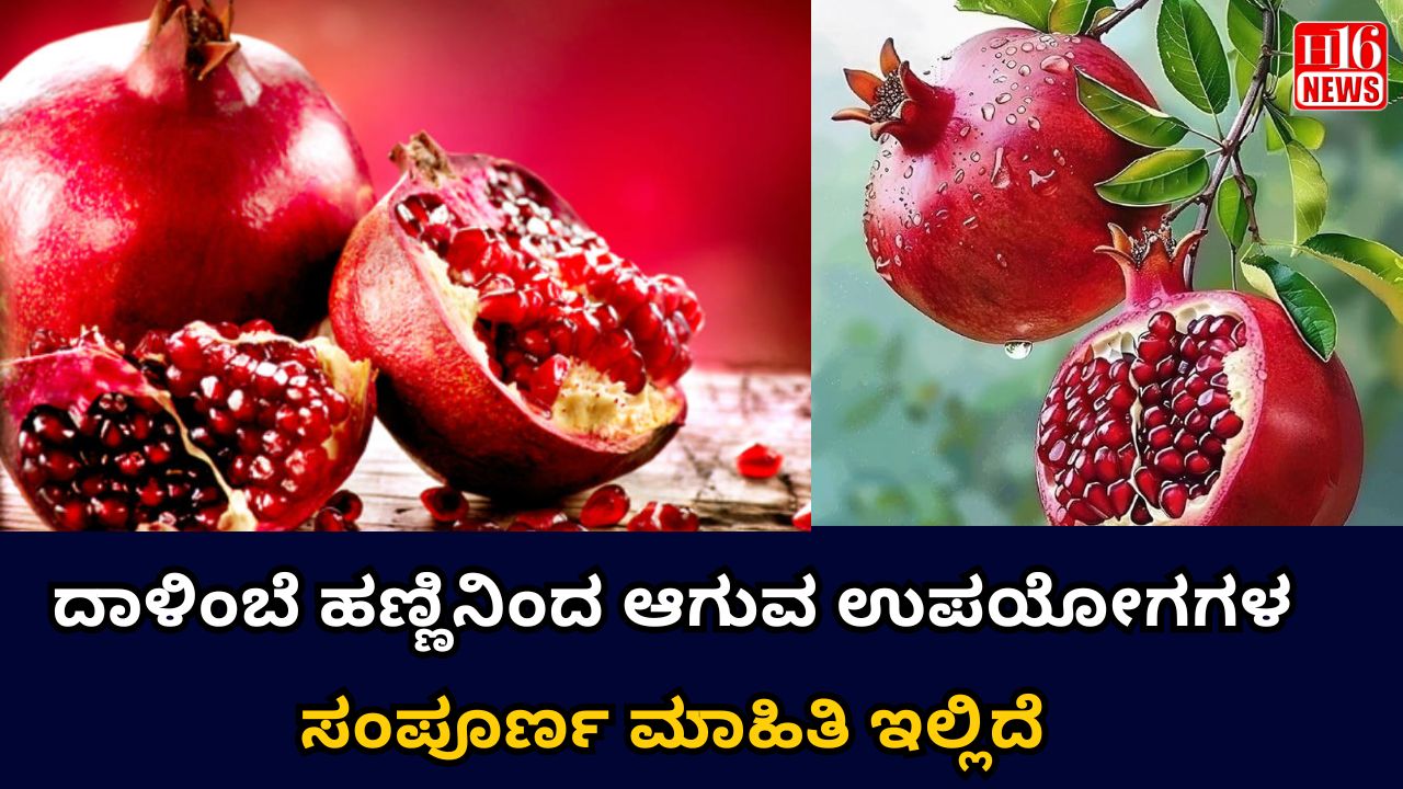 ದಾಳಿಂಬೆ ಹಣ್ಣಿನಿಂದ ಆಗುವ ಉಪಯೋಗಗಳ ಸಂಪೂರ್ಣ ಮಾಹಿತಿ ಇಲ್ಲಿದೆ.....