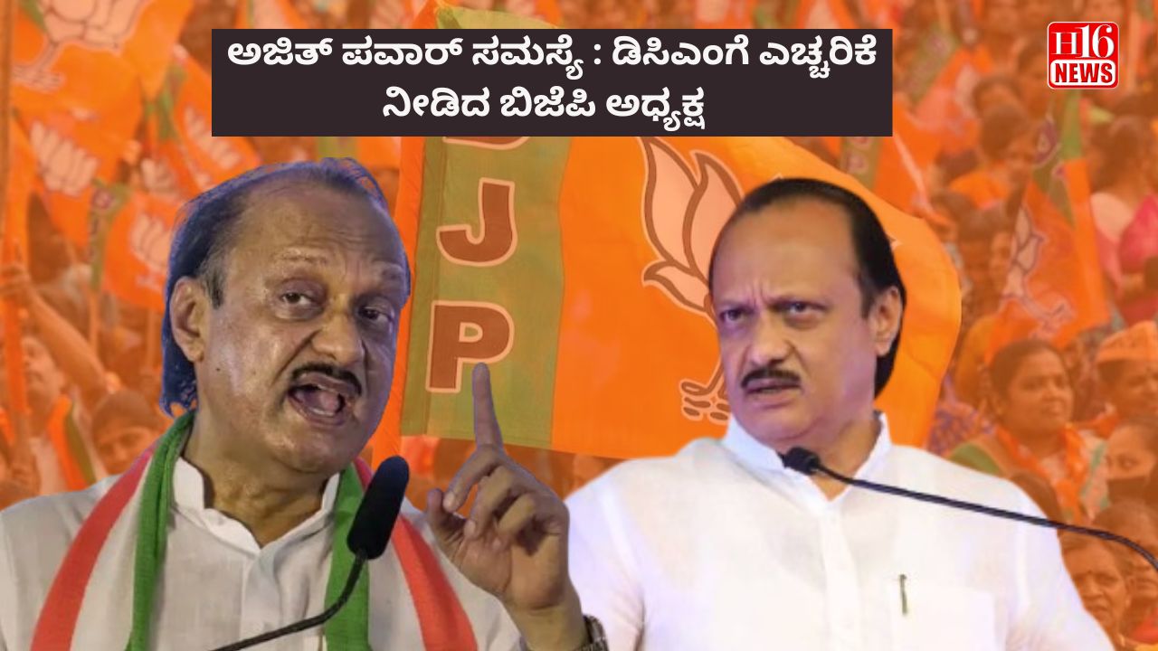 ಅಜಿತ್ ಪವಾರ್ ಸಮಸ್ಯೆ : ಡಿಸಿಎಂಗೆ ಎಚ್ಚರಿಕೆ ನೀಡಿದ ಬಿಜೆಪಿ ಅಧ್ಯಕ್ಷ
