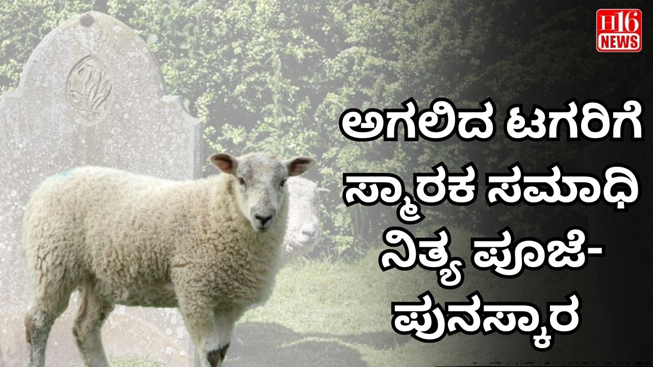 ಅಗಲಿದ ಟಗರಿಗೆ ಸ್ಮಾರಕ ಸಮಾಧಿ : ನಿತ್ಯ ಪೂಜೆ-ಪುನಸ್ಕಾರ