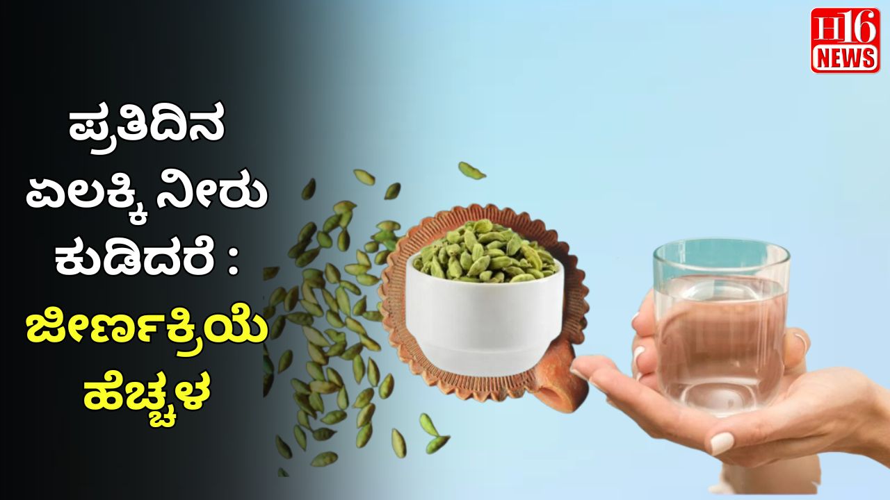 ಪ್ರತಿದಿನ ಏಲಕ್ಕಿ ನೀರು ಕುಡಿದರೆ : ಜೀರ್ಣಕ್ರಿಯೆ ಹೆಚ್ಚಳ