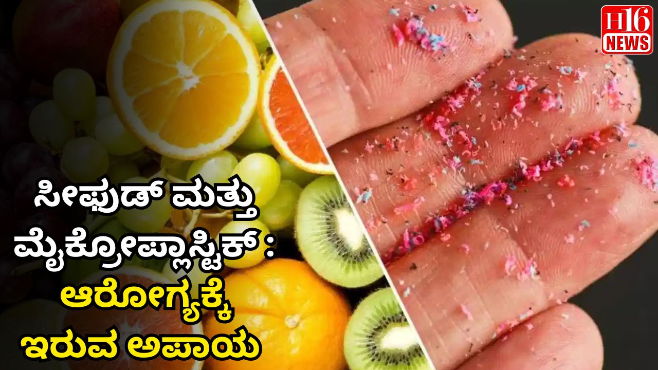 ಸೀಫುಡ್ ಮತ್ತು ಮೈಕ್ರೋಪ್ಲಾಸ್ಟಿಕ್ : ಆರೋಗ್ಯಕ್ಕೆ ಇರುವ ಅಪಾಯ