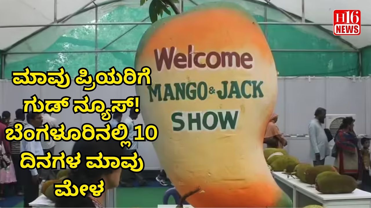 ಮಾವು ಪ್ರಿಯರಿಗೆ ಗುಡ್ ನ್ಯೂಸ್! ಬೆಂಗಳೂರಿನಲ್ಲಿ 10 ದಿನಗಳ ಮಾವು ಮೇಳ