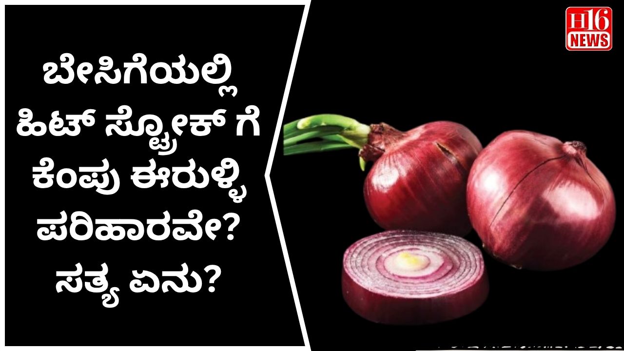 ಬೇಸಿಗೆಯಲ್ಲಿ ಹಿಟ್ ಸ್ಟ್ರೋಕ್ ಗೆ ಕೆಂಪು ಈರುಳ್ಳಿ ಪರಿಹಾರವೇ? ಸತ್ಯ ಏನು?