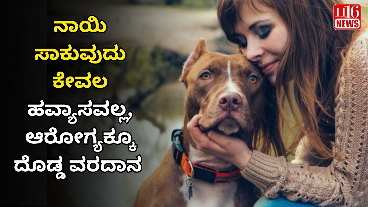 ನಾಯಿ ಸಾಕುವುದು ಕೇವಲ ಹವ್ಯಾಸವಲ್ಲ, ಆರೋಗ್ಯಕ್ಕೂ ದೊಡ್ಡ ವರದಾನ