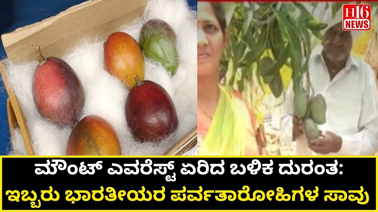 ಜಪಾನ್ ಮಾವಿಗೆ ಟಕ್ಕರ್ ಕೊಟ್ಟ ಬೀದರ್ ರೈತನ ವಿಶೇಷ ಬೆಳೆ