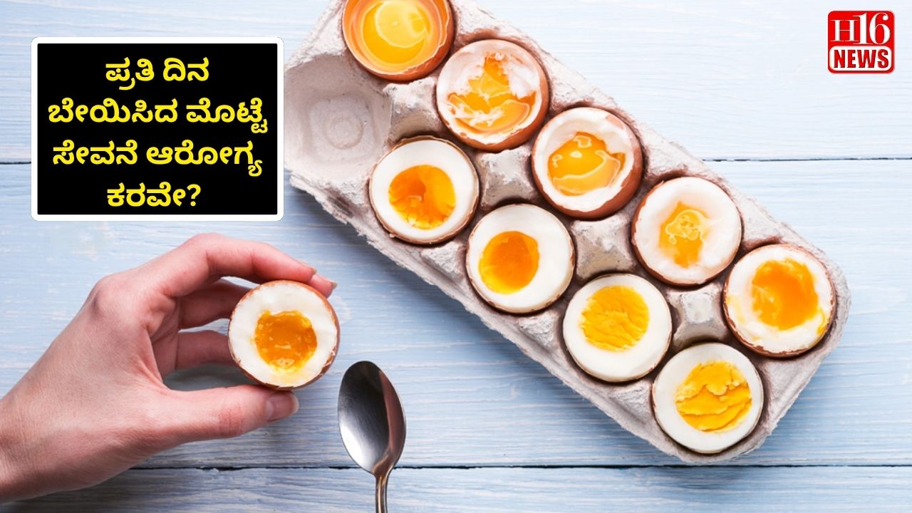 ಪ್ರತಿ ದಿನ ಬೇಯಿಸಿದ ಮೊಟ್ಟೆ ಸೇವನೆ ಆರೋಗ್ಯ ಕರವೇ? ವಾರದ ಮಿತಿಯನ್ನು ಹೇಳಿದ ಆರೋಗ್ಯ ತಜ್ಞರು