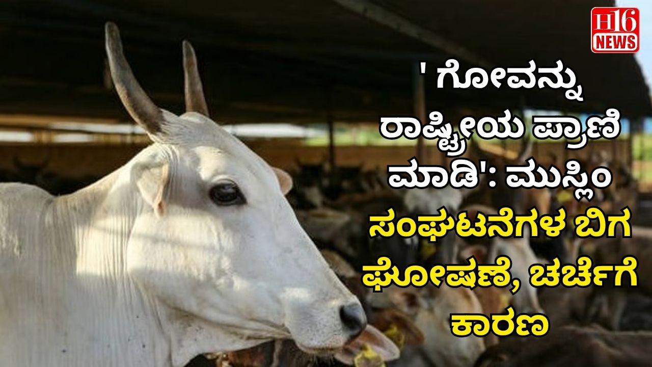 ' ಗೋವನ್ನು ರಾಷ್ಟ್ರೀಯ ಪ್ರಾಣಿ ಮಾಡಿ': ಮುಸ್ಲಿಂ ಸಂಘಟನೆಗಳ ಬಿಗ ಘೋಷಣೆ, ಚರ್ಚೆಗೆ ಕಾರಣ
