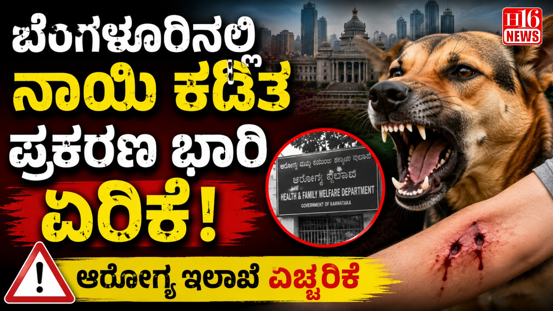 ಬೆಂಗಳೂರಿನಲ್ಲಿ ನಾಯಿ ಕಡಿತ ಪ್ರಕರಣ ಭಾರಿ ಏರಿಕೆ : ಆರೋಗ್ಯ ಇಲಾಖೆ ಎಚ್ಚರಿಕೆ