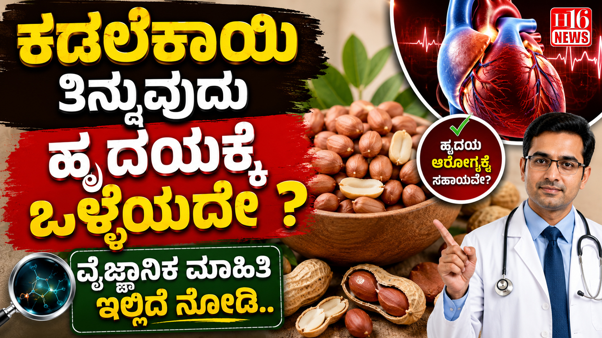 ಕಡಲೆಕಾಯಿ ತಿನ್ನುವುದು ಹೃದಯಕ್ಕೆ ಒಳ್ಳೆಯದೇ ? ವೈಜ್ಞಾನಿಕ ಮಾಹಿತಿ ಇಲ್ಲಿದೆ ನೋಡಿ..
