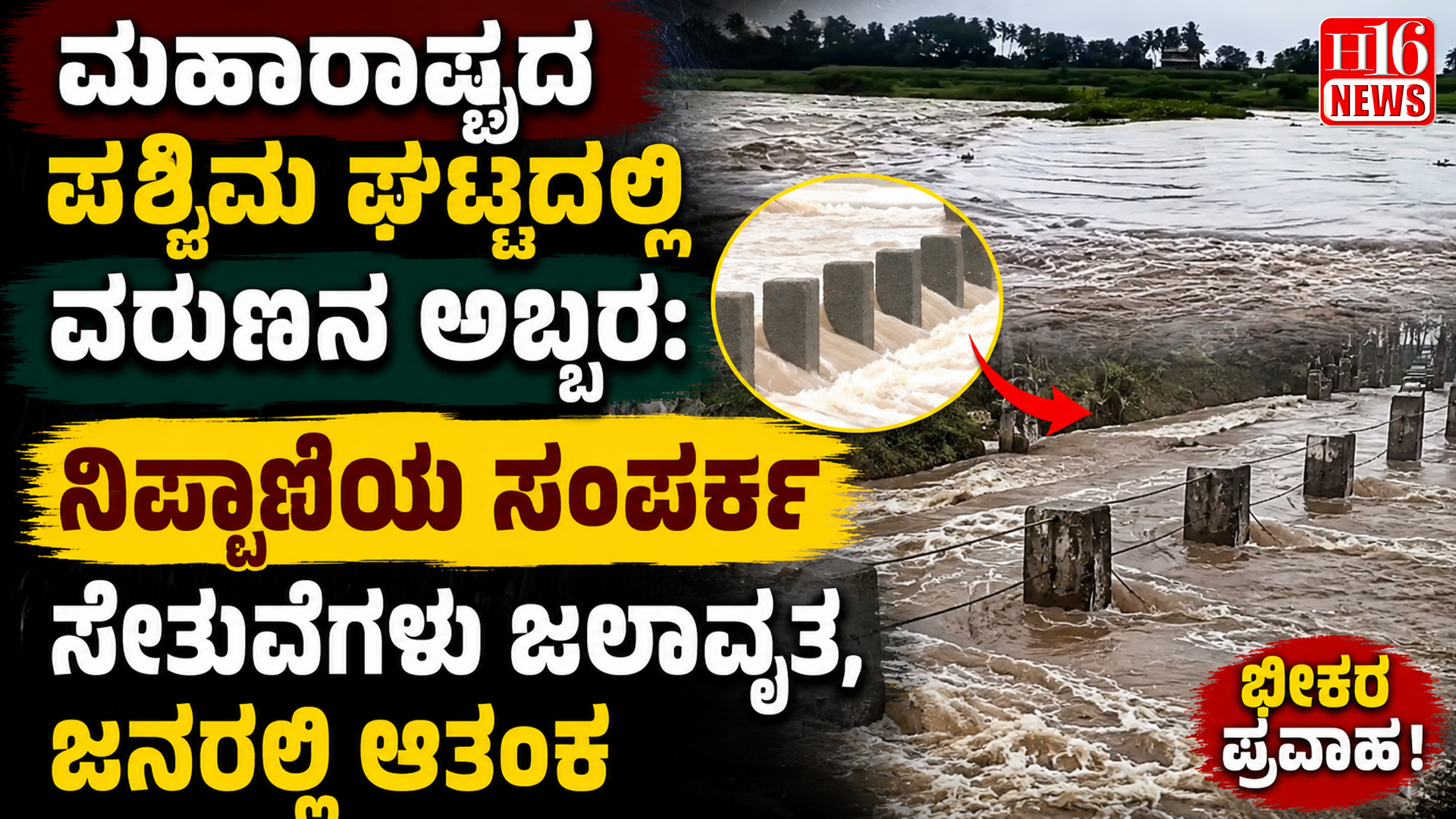 ಮಹಾರಾಷ್ಟ್ರದ ಪಶ್ಚಿಮ ಘಟ್ಟದಲ್ಲಿ ವರುಣನ ಅಬ್ಬರ: ನಿಪ್ಪಾಣಿಯ ಸಂಪರ್ಕ ಸೇತುವೆಗಳು ಜಲಾವೃತ, ಜನರಲ್ಲಿ ಆತಂಕ