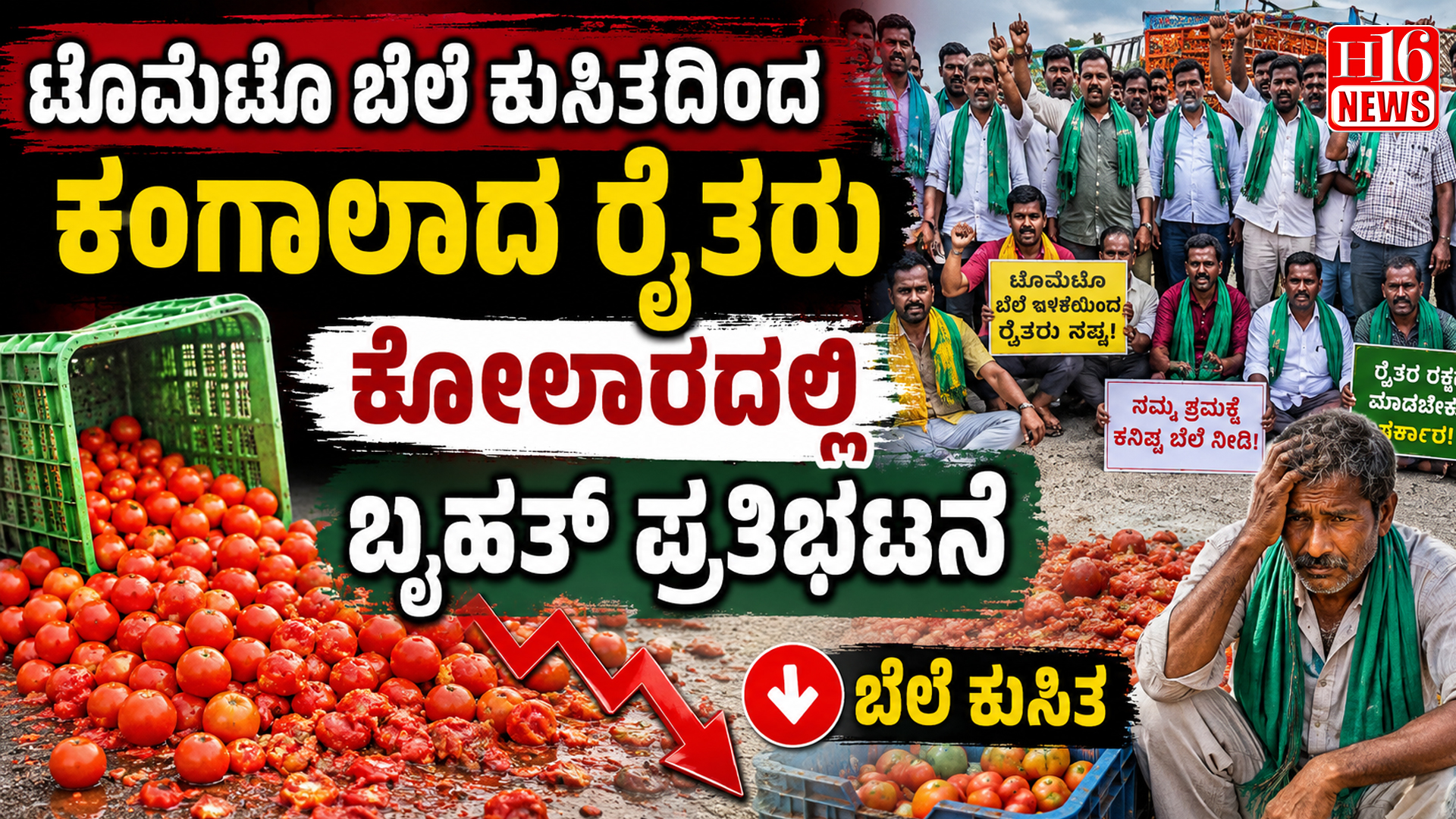 ಟೊಮೆಟೊ ಬೆಲೆ ಕುಸಿತದಿಂದ ಕಂಗಾಲಾದ ರೈತರು : ಕೋಲಾರದಲ್ಲಿ ಬೃಹತ್ ಪ್ರತಿಭಟನೆ