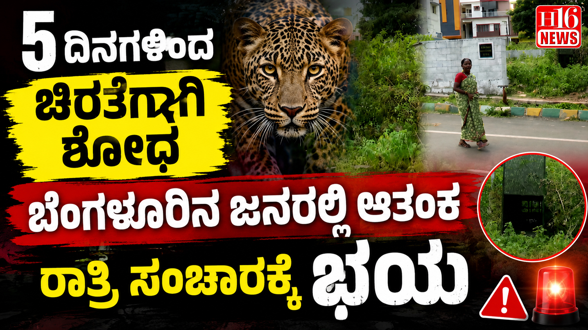 5 ದಿನಗಳಿಂದ ಚಿರತೆಗಾಗಿ ಶೋಧ : ಬೆಂಗಳೂರಿನ ಜನರಲ್ಲಿ ಆತಂಕ, ರಾತ್ರಿ ಸಂಚಾರಕ್ಕೆ ಭಯ