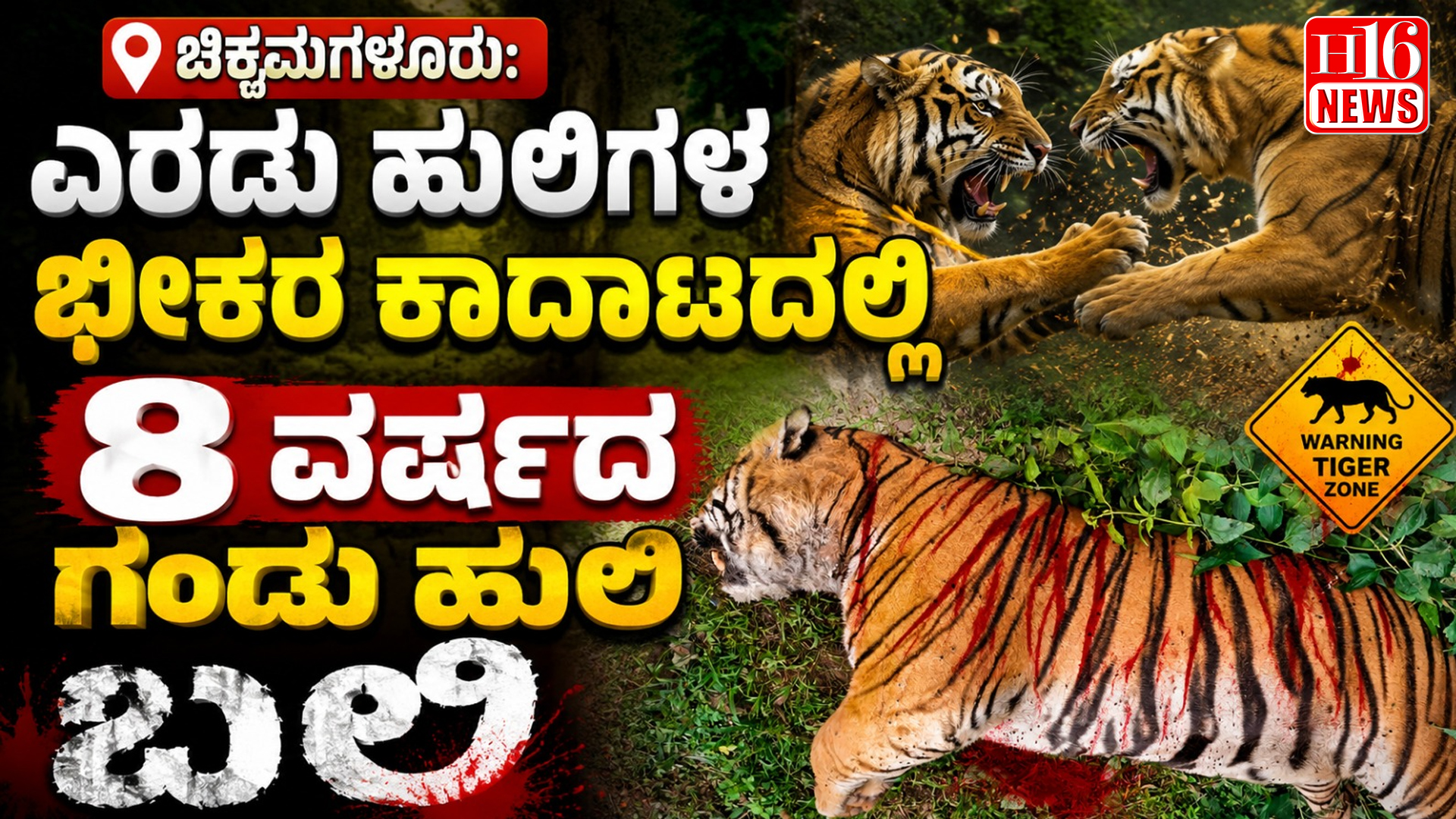 Chikkmagaluru: ಎರಡು ಹುಲಿಗಳ ಭೀಕರ ಕಾದಾಟದಲ್ಲಿ 8 ವರ್ಷದ ಗಂಡು ಹುಲಿ ಬಲಿ