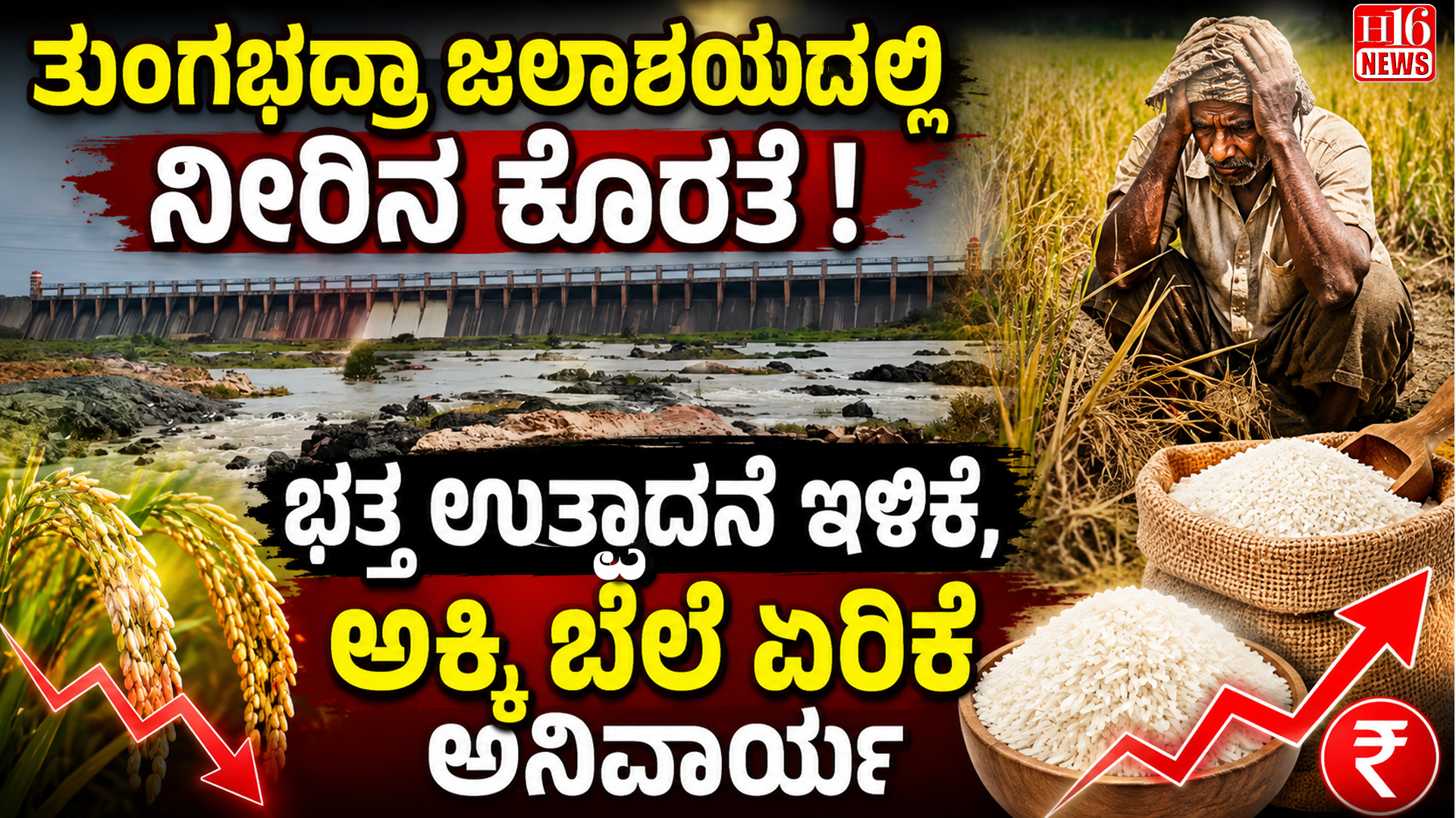 ತುಂಗಭದ್ರಾ ಜಲಾಶಯದಲ್ಲಿ ನೀರಿನ ಕೊರತೆ : ಭತ್ತ ಉತ್ಪಾದನೆ ಇಳಿಕೆ, ಅಕ್ಕಿ ಬೆಲೆ ಏರಿಕೆ ಅನಿವಾರ್ಯ