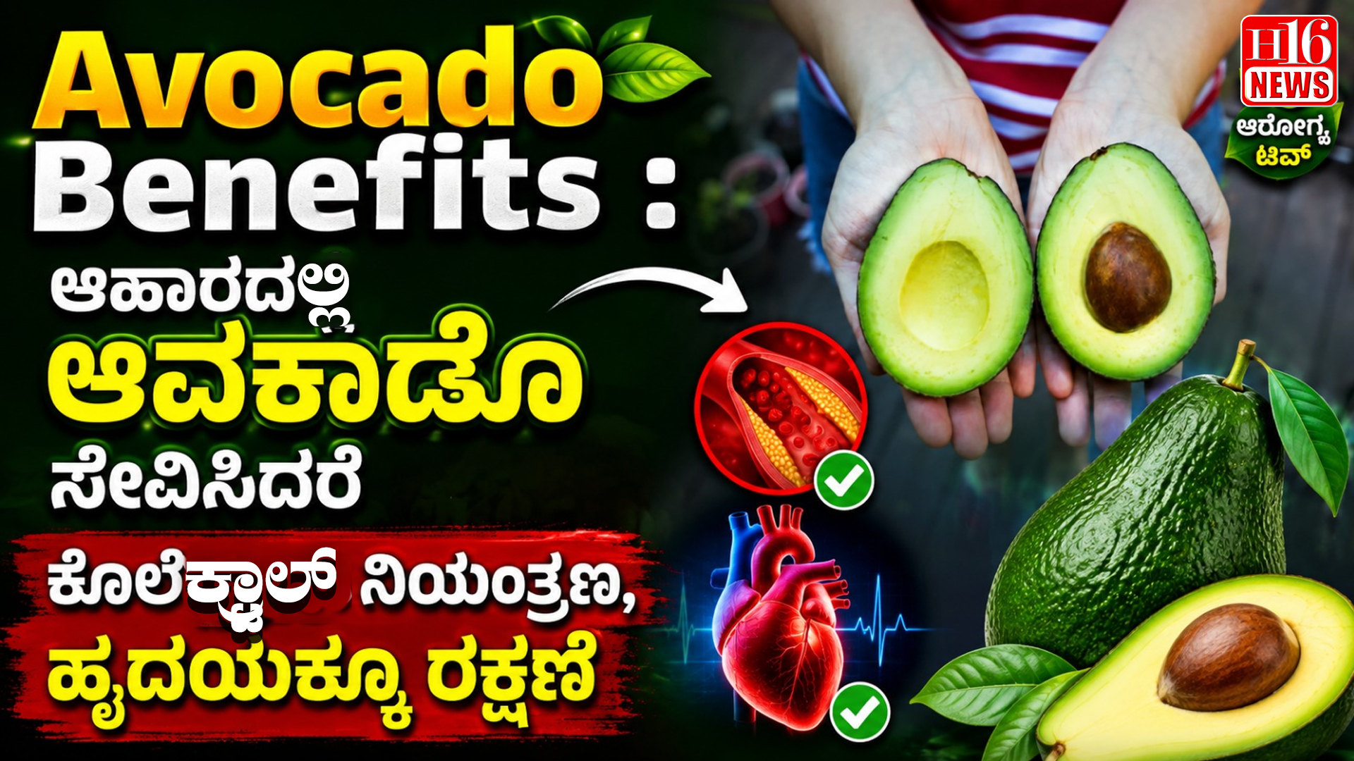 Avocado Benefits : ಆಹಾರದಲ್ಲಿ ಆವಕಾಡೊ ಸೇವಿಸಿದರೆ ಕೊಲೆಕ್ಟ್ರಾಲ್ ನಿಯಂತ್ರಣ, ಹೃದಯಕ್ಕೂ ರಕ್ಷಣೆ